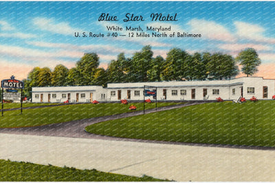 Blue Star Motel, White Marsh, Maryland, U. S. Route #40 -- 12 miles north of Baltimore — Vintage Maryland Postcard