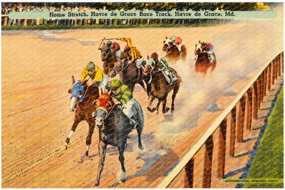 Home stretch, Havre de Grace Race Track, Havre de Grace, MD — Vintage Maryland Postcard