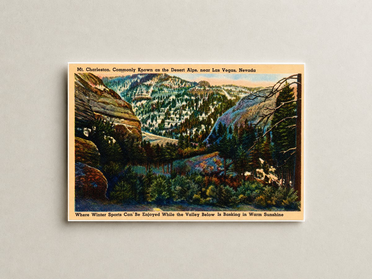 Mount Charleston, NV: Mt. Charleston, commonly known as the Desert Alps, near Las Vegas, Nevada. Where winter sports can be enjoyed while the valley below is basking in warm sunshine.