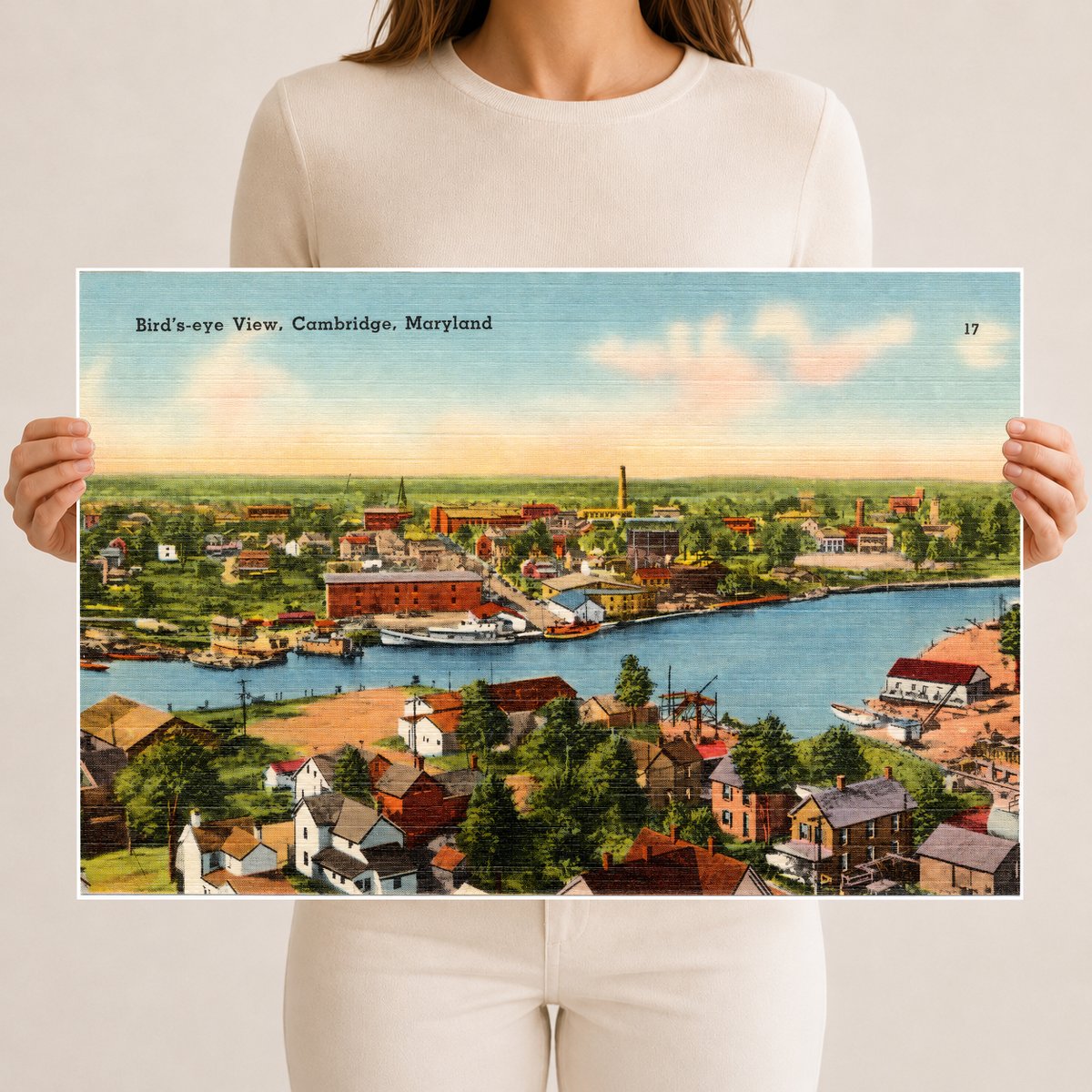 Bird's-eye view, Cambridge, Maryland — Vintage Maryland Postcard