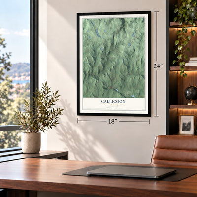 Callicoon, New York map, 18 x 24 inch print in a black frame in a home office