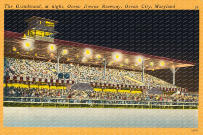 The grandstand, at night, Ocean Downs Raceway, Ocean City, Maryland — Vintage Maryland Postcard