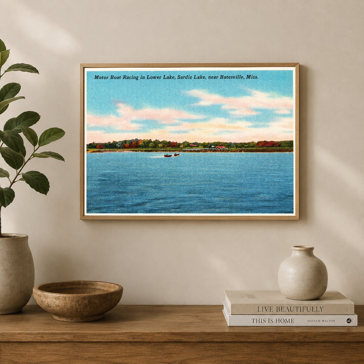 Sardis Lake, MS: Motor boat racing in lower lake, Sardis Lake, near Batesville