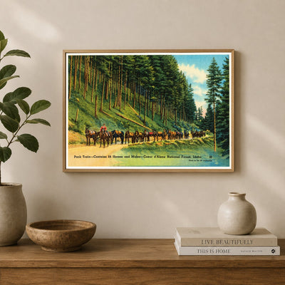Coeur d'Alene National Forest, ID: Pack train- contains 64 horses and mules- Coeur d'Alene National Forest