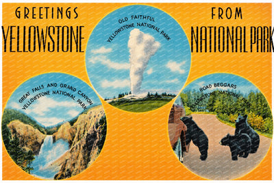 Yellowstone National Park, WY: Greetings from Yellowstone National Park -- Old Faithful, Great Falls and Grand Canyon, Road Beggars