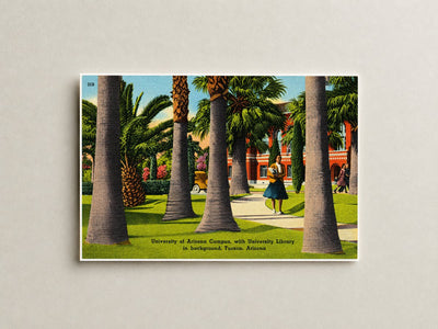 Tucson, AZ: University of Arizona campus, with university library in background