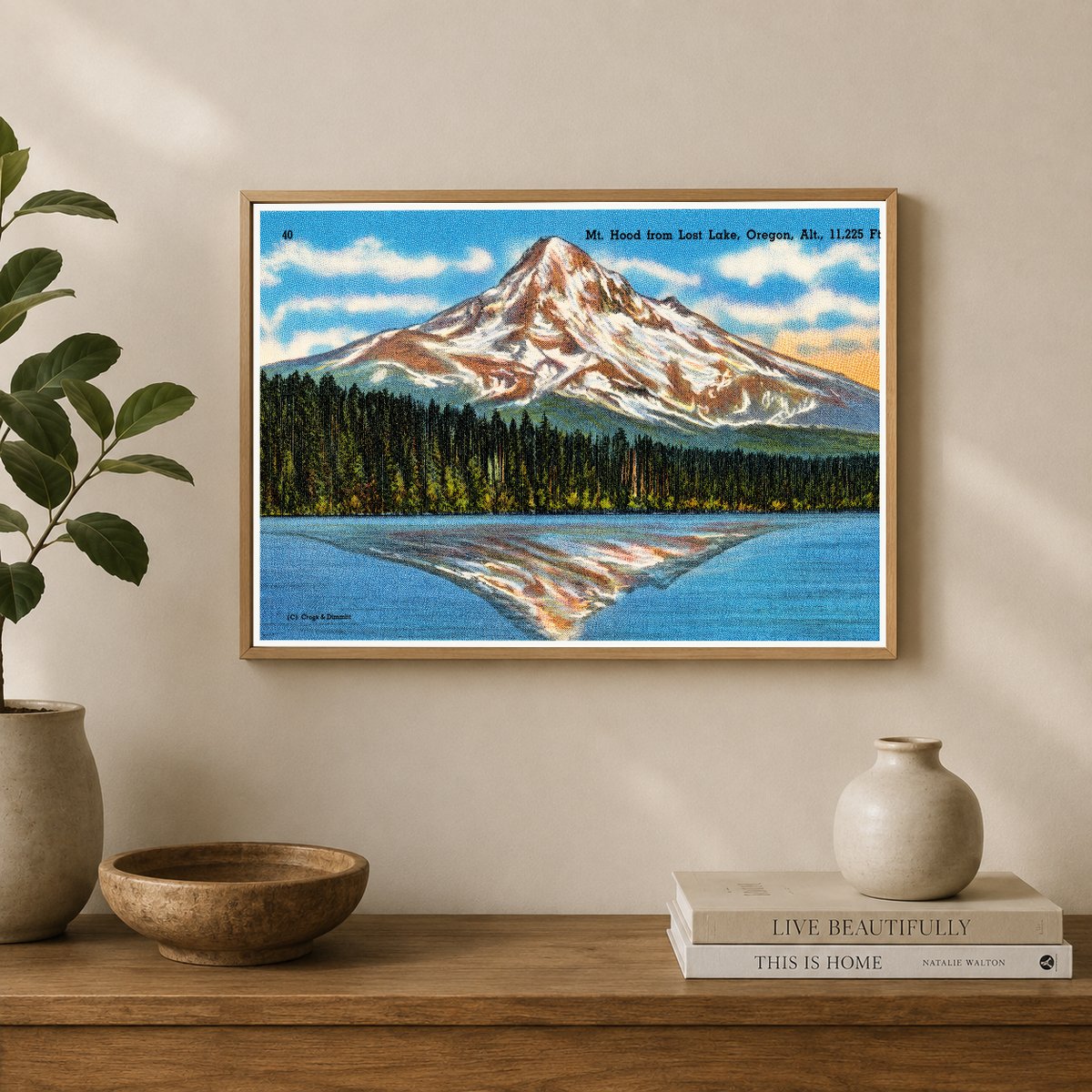 Hood, Mount, OR: Mt. Hood from Lost Lake, Oregon, alt., 11,225 ft.