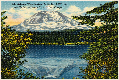 Adams, Mount, OR: Mt. Adams, Washington (Altitude 12,207 ft.), and reflection from Trout Lake