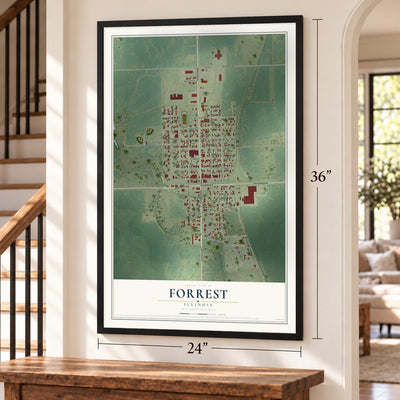 Forrest, Illinois map, 24 x 36 inch print in a black frame by a staircase