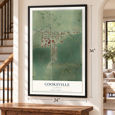 Cooksville, Illinois map, 24 x 36 inch print in a black frame by a staircase