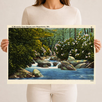 A mountain trout stream near Hagerstown, MD — Vintage Maryland Postcard