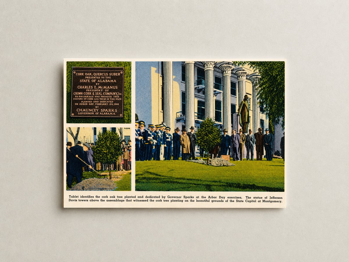 Montgomery, AL: Tablet identifies the cork oak tree planted and dedicated by Governor Sparks at the Arbor Day exercises.