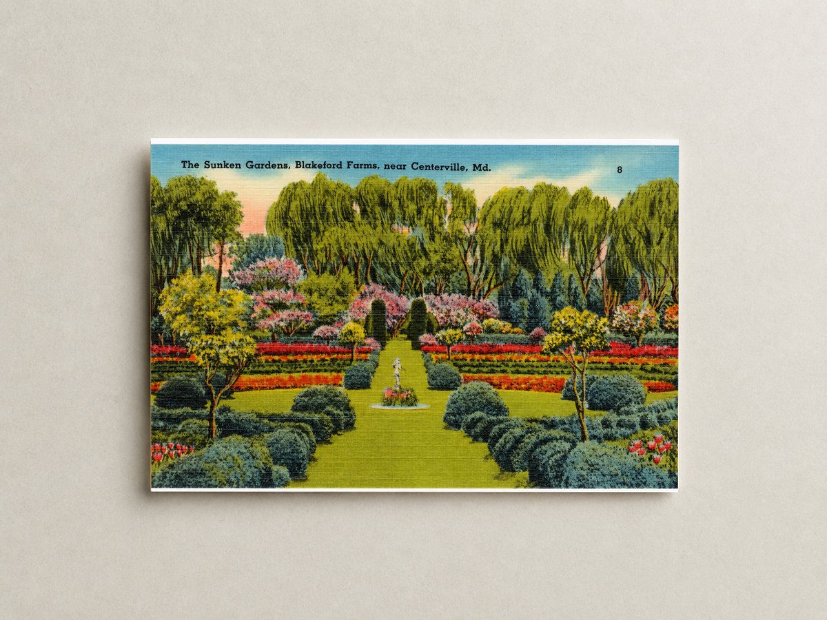 The Sunken Gardens, Blakeford Farms, near Centerville, MD — Vintage Maryland Postcard