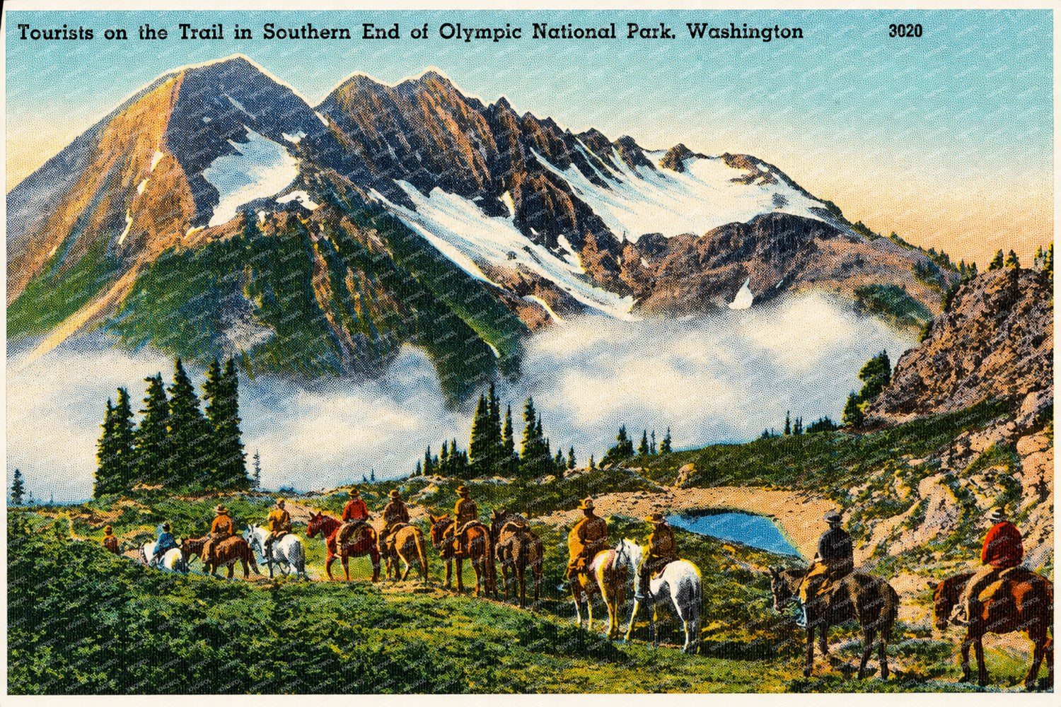 Olympic National Park, WA: Tourist on the trail southern end of Olympic National Park