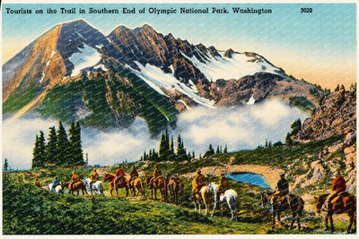 Olympic National Park, WA: Tourist on the trail southern end of Olympic National Park