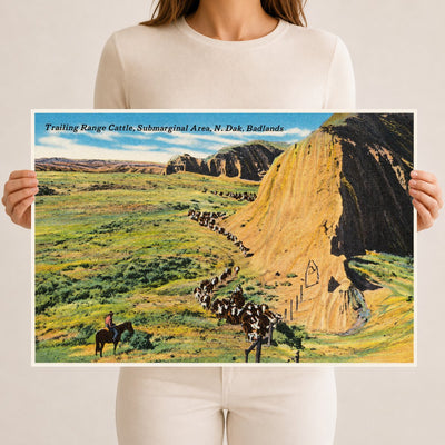 Little Badlands, ND: Trailing range cattle, submarginal area, N. Dak. Badlands
