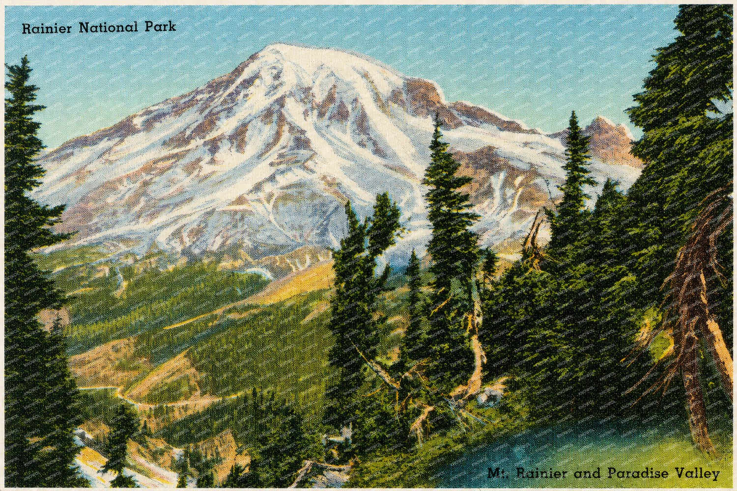 Mount Rainier National Park, WA: Rainier National Park, Mt. Rainier and Paradise Valley