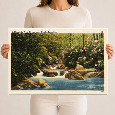 A mountain trout stream near Cumberland, MD — Vintage Maryland Postcard