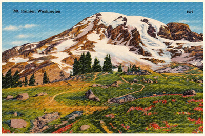 Rainier, Mount, WA: Mt. Rainier