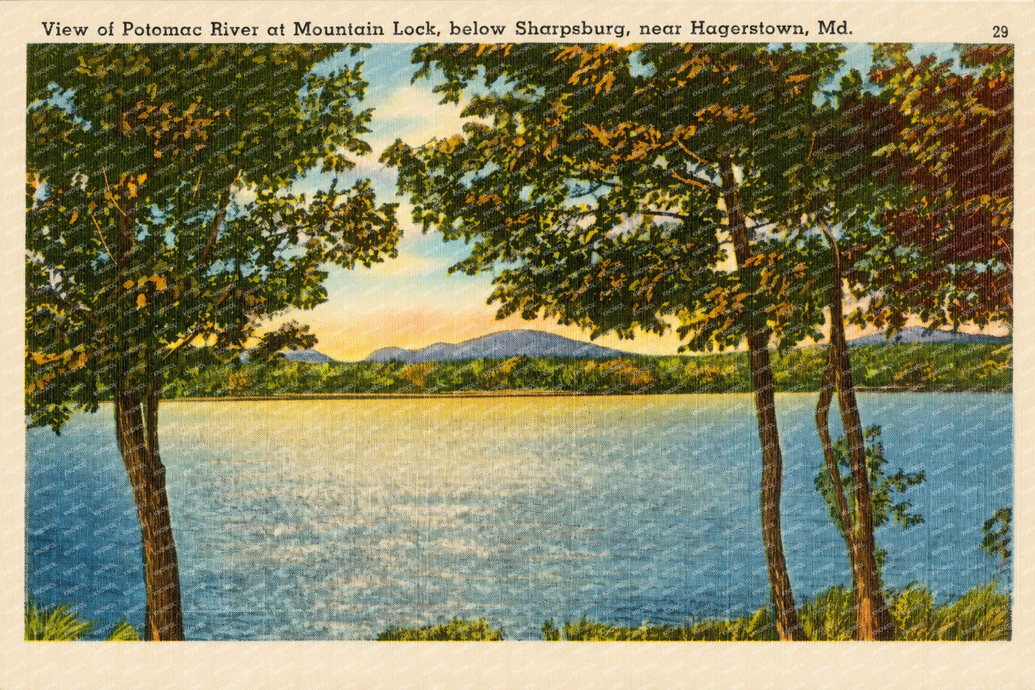 View of Potomac River at Mountain Lock, below Sharpsburg, near Hagerstown, MD — Vintage Maryland Postcard