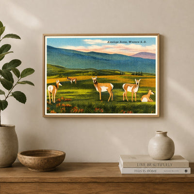 SD: Antelope scene, Western S. D.