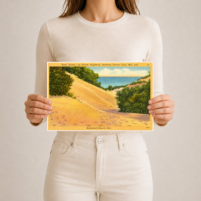 Sand dunes, on Ocean Highway, between Ocean City, MD and Rehoboth Beach. Del. — Vintage Maryland Postcard