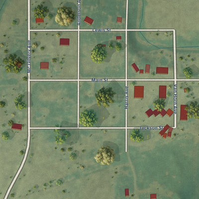 Close-up of the map of Lowry, South Dakota print showing street and building detail