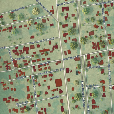 Close-up of the map of Scranton, South Carolina print showing street and building detail