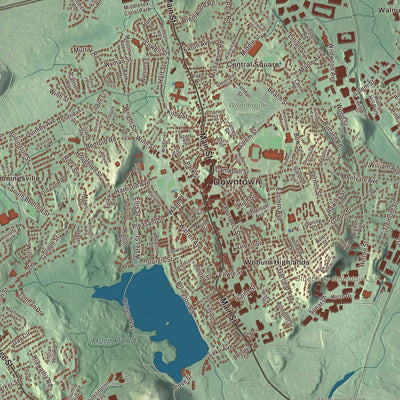 Close-up of the map of Woburn, Massachusetts print showing streets and neighborhoods