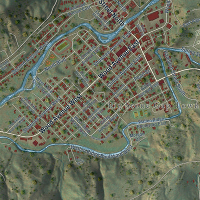 Close-up of the map of Big Stone Gap, Virginia print showing street and building detail