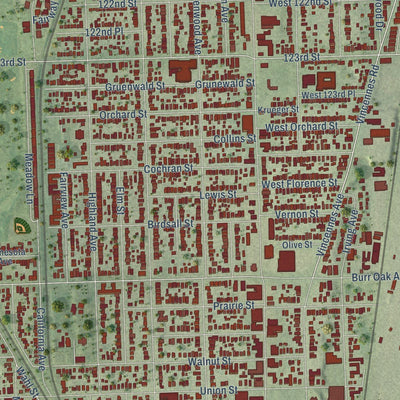Close-up of the map of Blue Island, Illinois print showing street and building detail