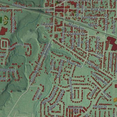 Close-up of the map of Amherst, Ohio print showing street and building detail