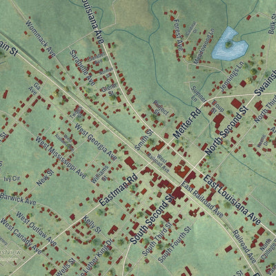 Close-up of the map of Soperton, Georgia print showing street and building detail