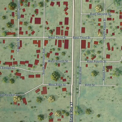Close-up of the map of Bonnie, Illinois print showing street and building detail