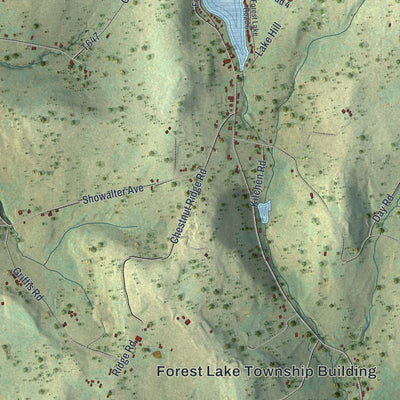 Close-up of the map of Forest Lake, Pennsylvania print showing street and building detail