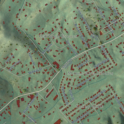 Close-up of the map of Walnut Hill, Tennessee print showing street and building detail