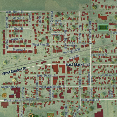 Close-up of the map of Somonauk, Illinois print showing street and building detail