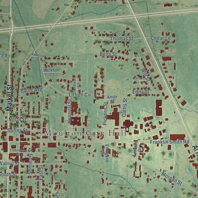 Close-up of the map of Moulton, Alabama print showing street and building detail
