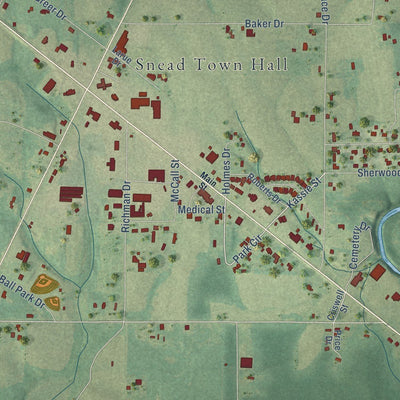 Close-up of the map of Snead, Alabama print showing street and building detail