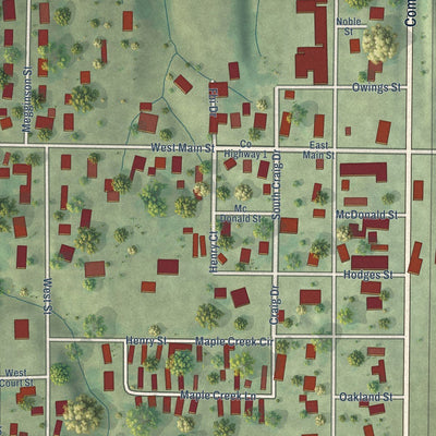 Close-up of the map of Woodson, Illinois print showing street and building detail