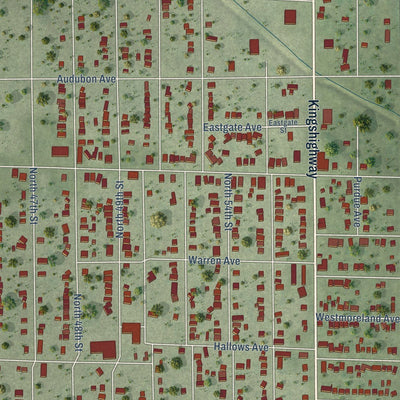 Close-up of the map of Washington Park, Illinois print showing street and building detail