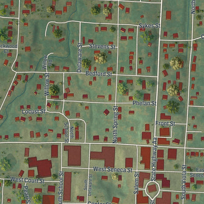 Close-up of the map of Bloomfield, Missouri print showing street and building detail