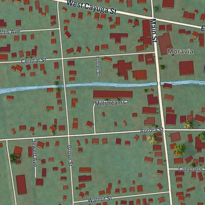 Close-up of the map of the Village of Moravia, New York print showing street and building detail