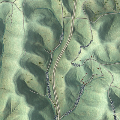 Close-up of the map of Perry, Greene County, Pennsylvania print showing street and building detail