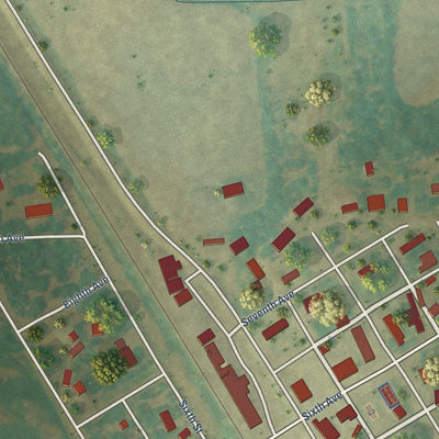 Close-up of the map of Walcott, North Dakota print showing street and building detail