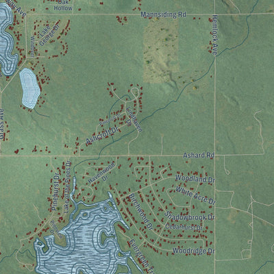Close-up of the map of Freeman, Michigan print showing street and building detail