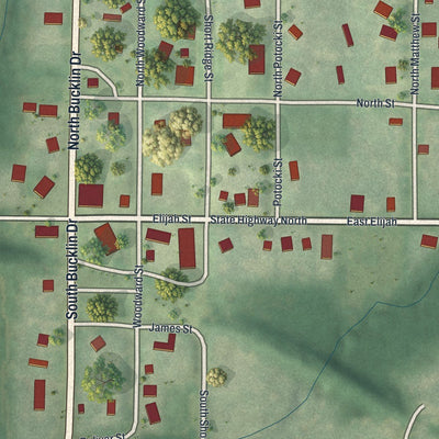 Close-up of the map of Easton, Missouri print showing street and building detail