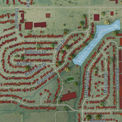 Close-up of the map of Richton Park, Illinois print showing street and building detail