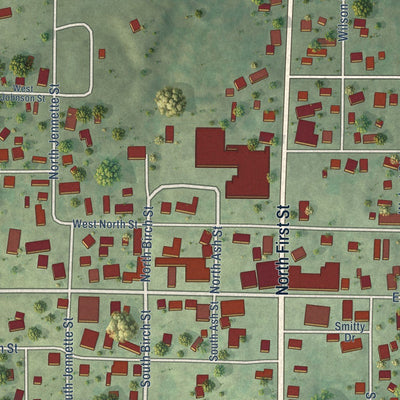 Close-up of the map of Enfield, Illinois print showing street and building detail