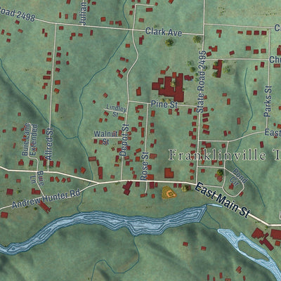 Close-up of the map of Franklinville, North Carolina print showing street and building detail